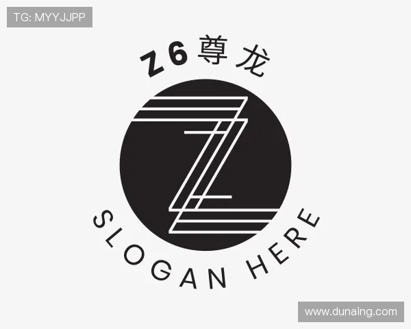 了解Z6尊龙